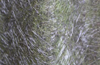 Salendine Nook fibreglass roof work